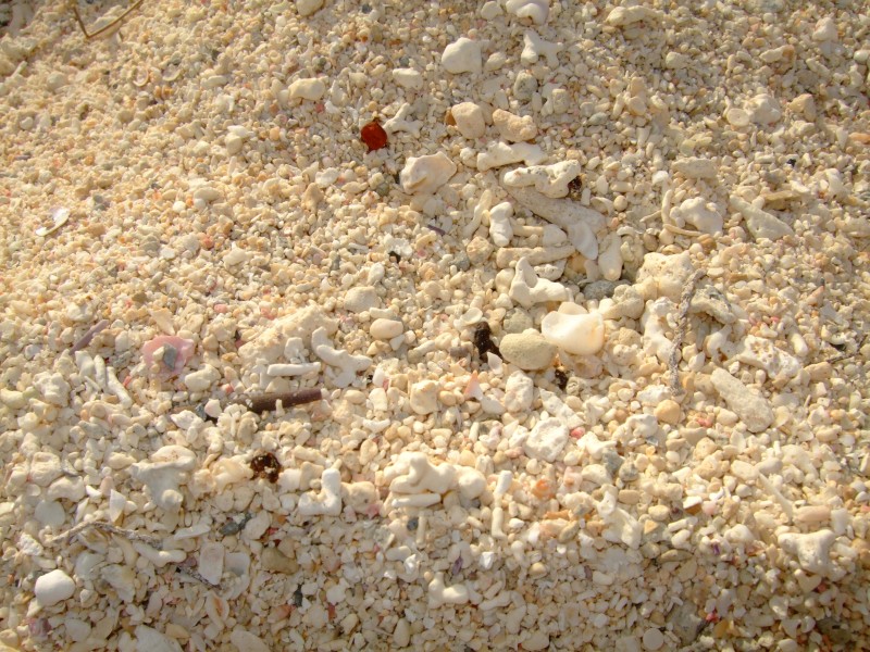 Mauritius 2010 - 0211 